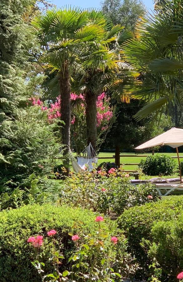 Miraflores Bed & Breakfast ,Casa De Campo San Esteban,Linares المظهر الخارجي الصورة